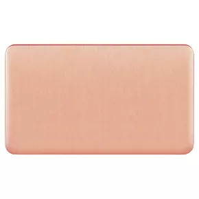 Schneider Electric 2-Gang Blanking Plate Copper 4 Schneider Electric 2-Gang Blanking Plate Copper - Image 2