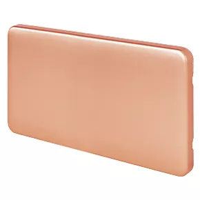 Schneider Electric 2-Gang Blanking Plate Copper 3 Schneider Electric 2-Gang Blanking Plate Copper